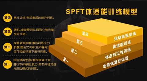 赛普健身SPFT体适能训练模型 赛普健身SPFT体适能训练模型