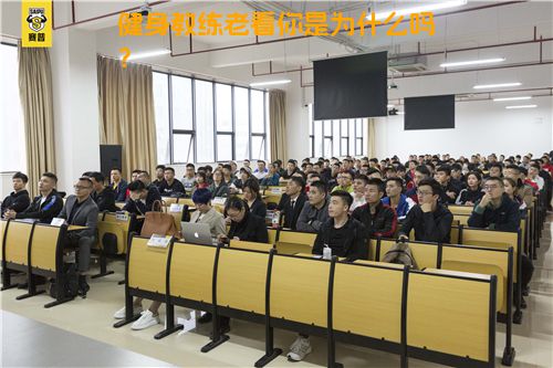 健身教练老看你是为什么吗？