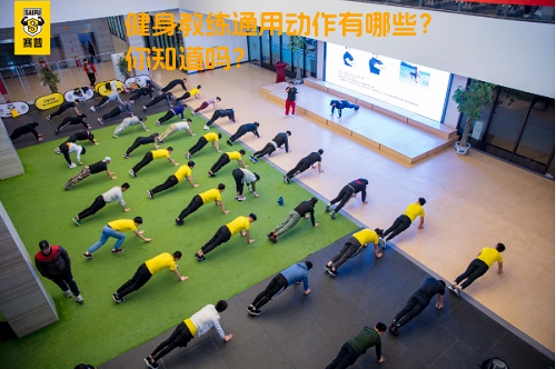 健身教练通用动作有哪些？你知道吗？