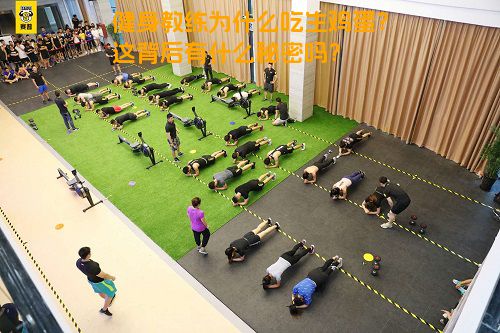 健身教练为什么吃生鸡蛋？这背后有什么秘密吗？