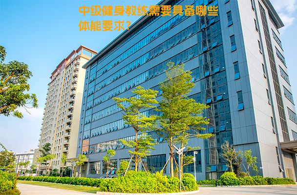 中级健身教练需要具备哪些体能要求？