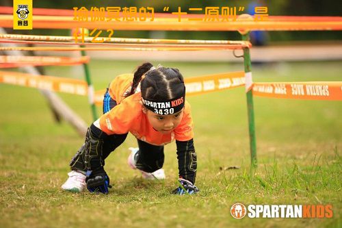 瑜伽冥想的“十二原则”是什么？