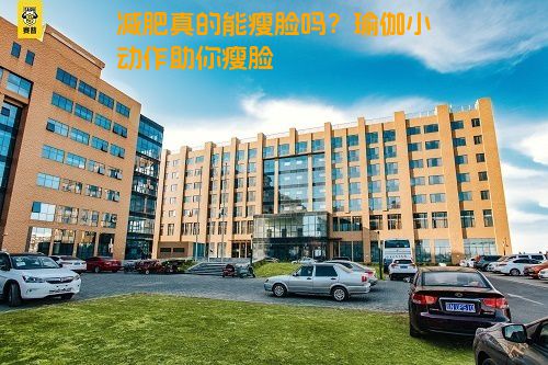 减肥真的能瘦脸吗？瑜伽小动作助你瘦脸