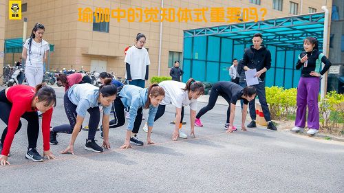 瑜伽中的觉知体式重要吗？