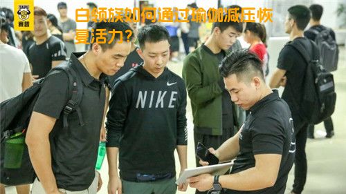 白领族如何通过瑜伽减压恢复活力？