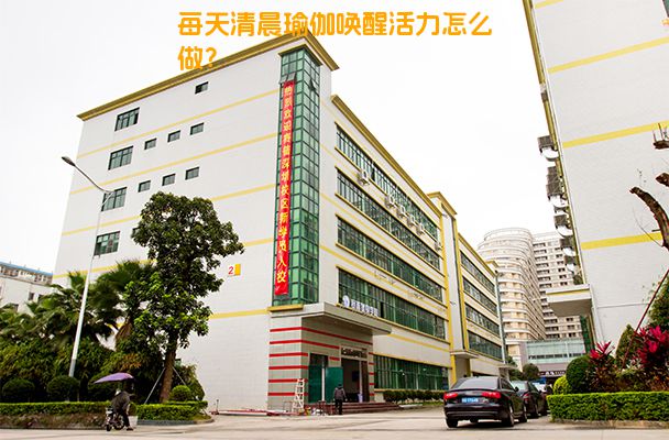 每天清晨瑜伽唤醒活力怎么做？