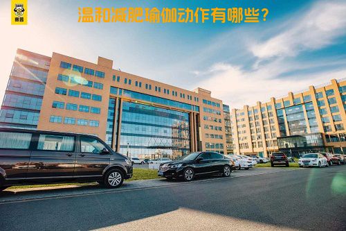 温和减肥瑜伽动作有哪些？