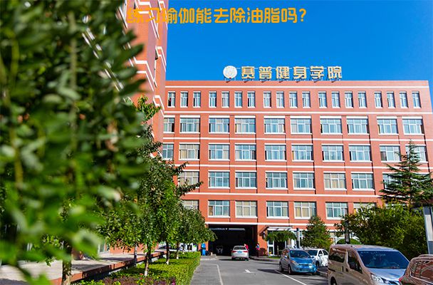 练习瑜伽能去除油脂吗？