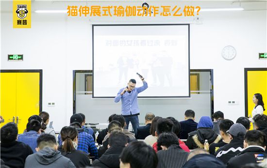 猫伸展式瑜伽动作怎么做？