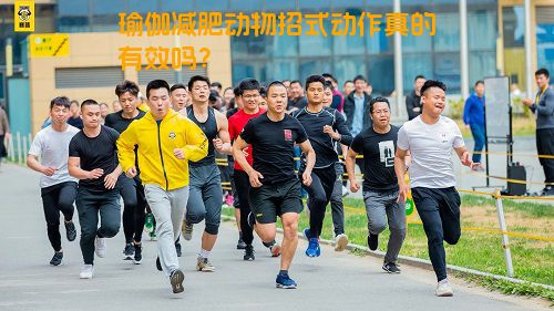 瑜伽减肥动物招式动作真的有效吗？