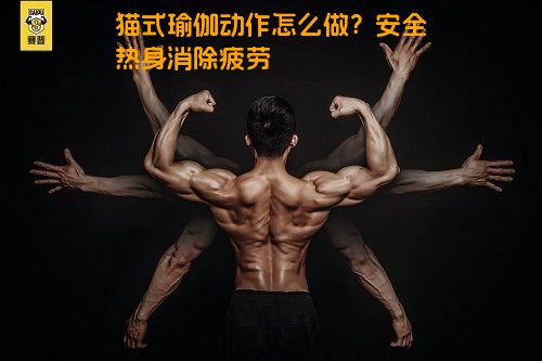 猫式瑜伽动作怎么做？安全热身消除疲劳