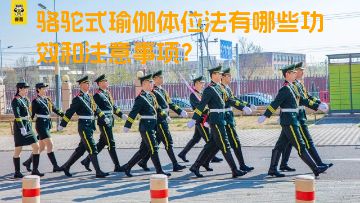 骆驼式瑜伽体位法有哪些功效和注意事项？