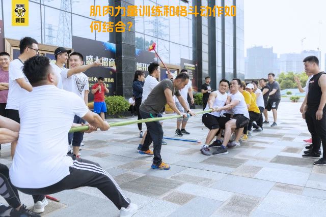 肌肉力量训练和格斗动作如何结合？