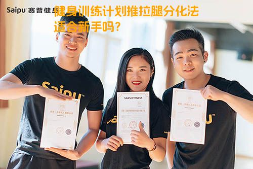 健身训练计划推拉腿分化法适合新手吗？