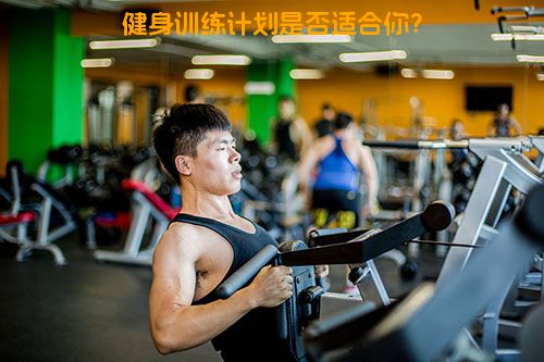 健身训练计划是否适合你？