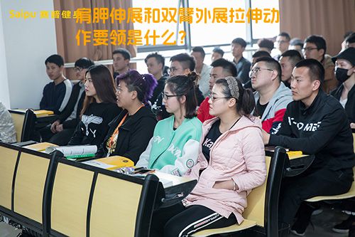肩胛伸展和双臂外展拉伸动作要领是什么？