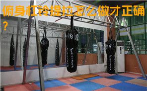 俯身杠铃提拉怎么做才正确？