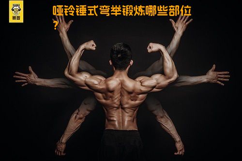 哑铃锤式弯举锻炼哪些部位？