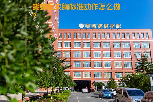 蝴蝶机夹胸标准动作怎么做？