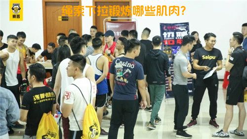 绳索下拉锻炼哪些肌肉？