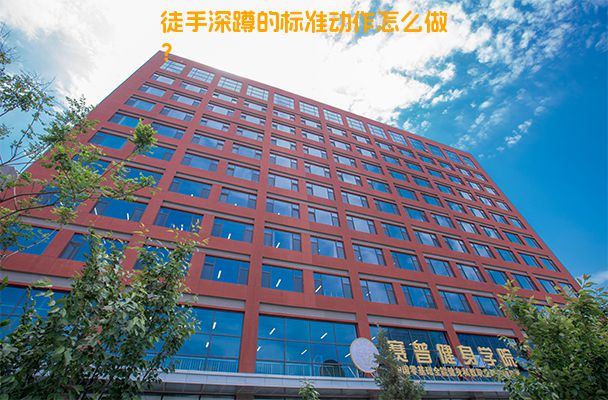 徒手深蹲的标准动作怎么做？