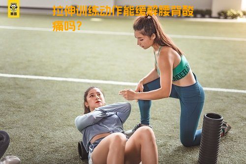 拉伸训练动作能缓解腰背酸痛吗？