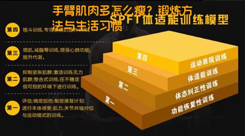 手臂肌肉多怎么瘦？锻炼方法与生活习惯