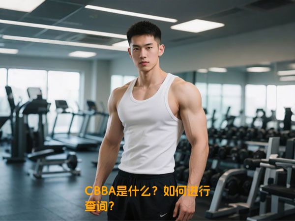 CBBA是什么？如何进行查询？