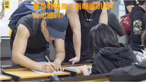 健身教练身上有哪些肌肉？你知道吗？
