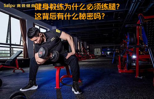 健身教练为什么必须练腿？这背后有什么秘密吗？
