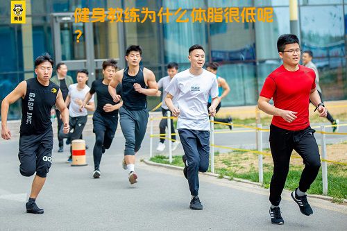 健身教练为什么体脂很低呢？