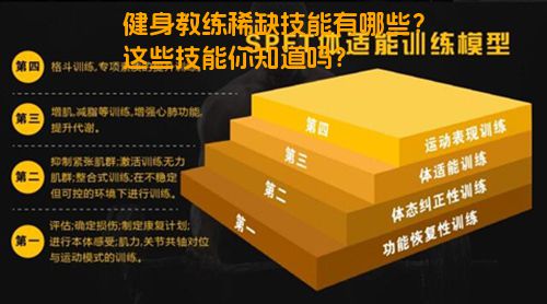 健身教练稀缺技能有哪些？这些技能你知道吗？