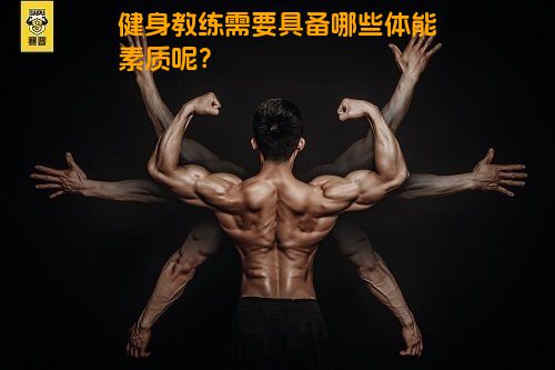 健身教练需要具备哪些体能素质呢？