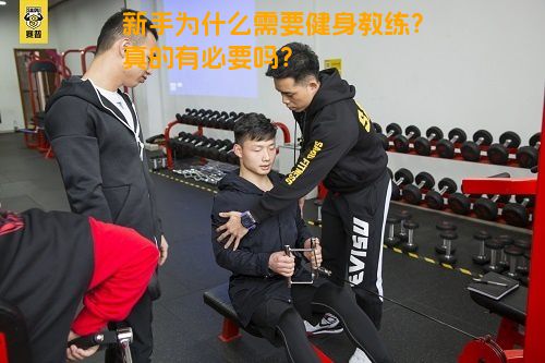 新手为什么需要健身教练？真的有必要吗？