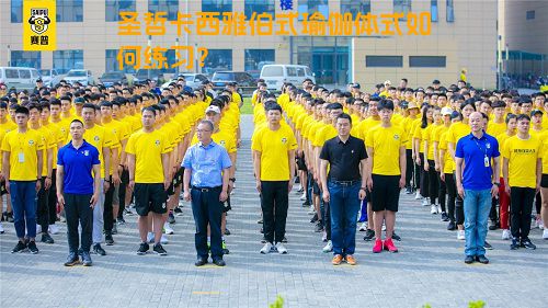 圣哲卡西雅伯式瑜伽体式如何练习？