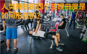 人类脊柱的四个生理曲度是如何形成的？