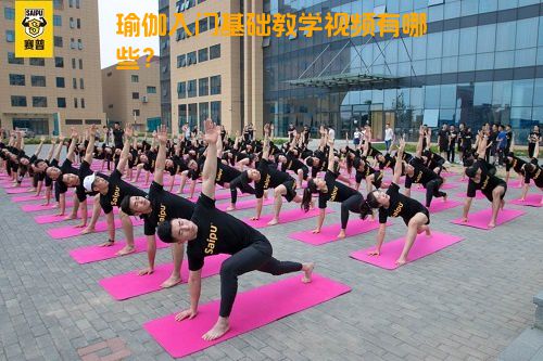 瑜伽入门基础教学视频有哪些？