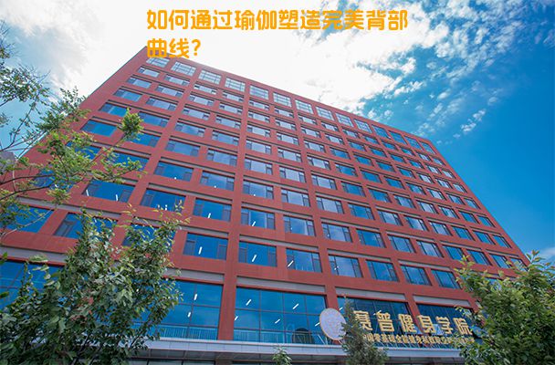 如何通过瑜伽塑造完美背部曲线？