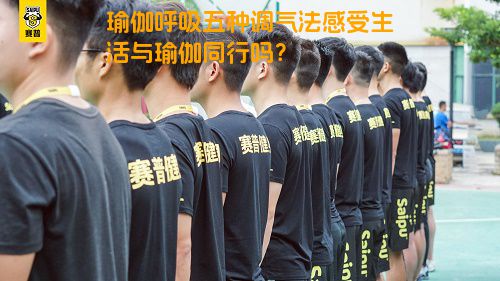 瑜伽呼吸五种调气法感受生活与瑜伽同行吗？