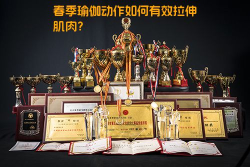 春季瑜伽动作如何有效拉伸肌肉？