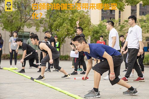 白领的瑜伽生活带来哪些变化？