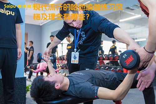 现代流行的哈他瑜伽练习风格及理念有哪些？