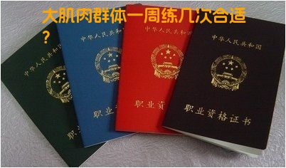 大肌肉群体一周练几次合适？