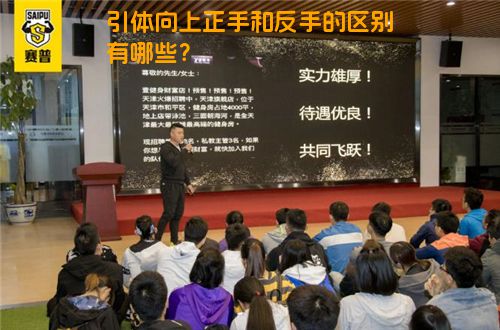 引体向上正手和反手的区别有哪些？