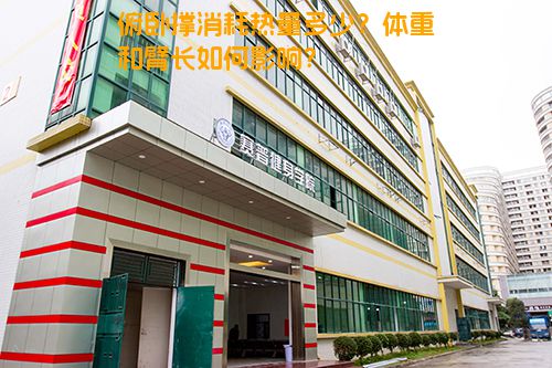俯卧撑消耗热量多少？体重和臂长如何影响？