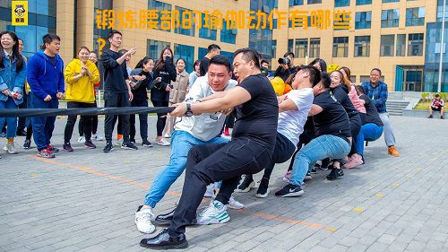 锻炼腰部的瑜伽动作有哪些？