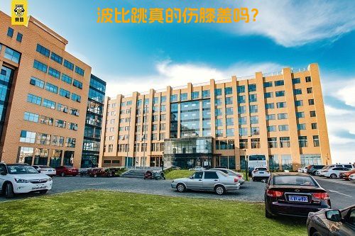 波比跳真的伤膝盖吗？