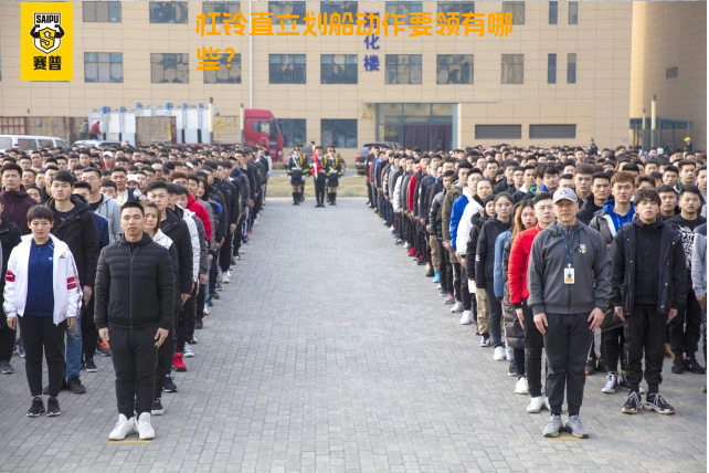 杠铃直立划船动作要领有哪些？