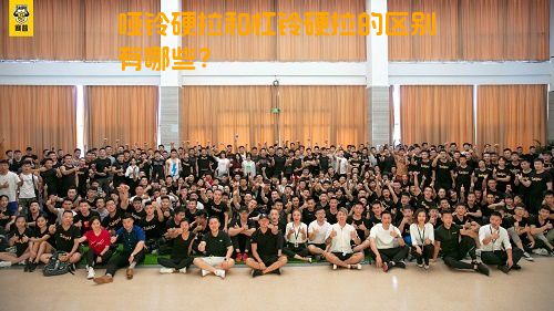 哑铃硬拉和杠铃硬拉的区别有哪些？