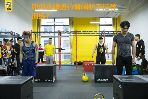 如何正确进行背阔肌下拉等训练？
